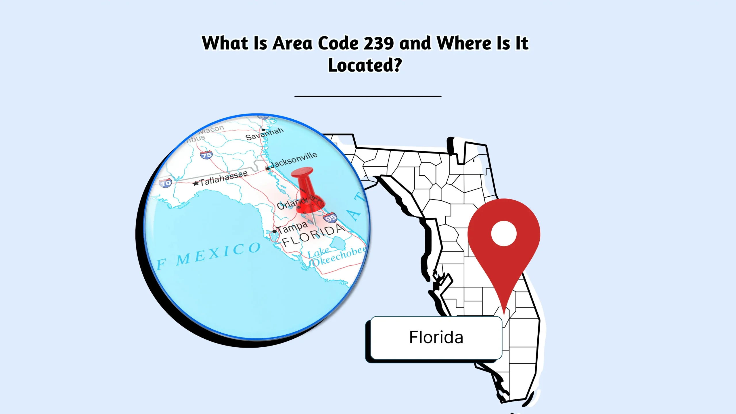 239 Area Code: Complete Guide, Facts, and Location Info
