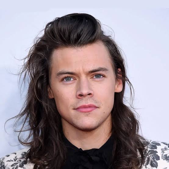 Harry Styles Age: Biography, Career, and Success Story